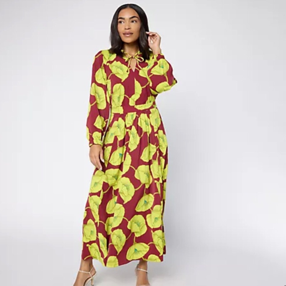 Carla Rockmore NWOT Maxi Dress Exotic Black Cherry Lime 2XP Feminine Chic Silky